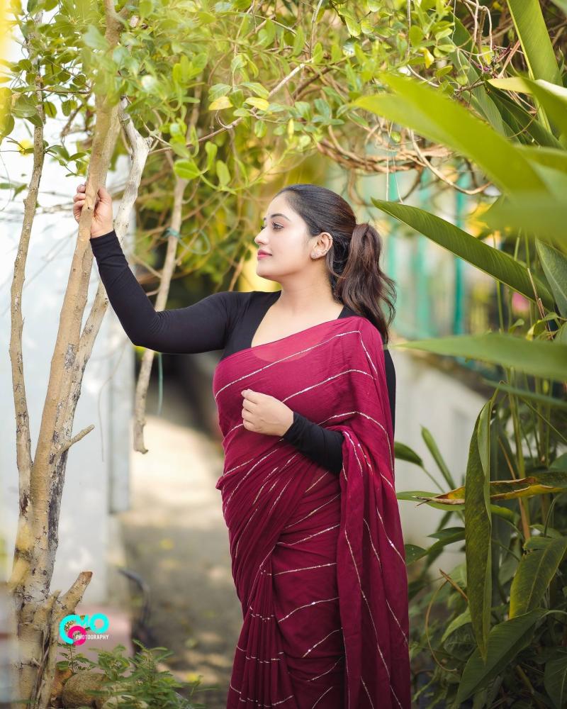 anumol-looking-glamorous-in-saree
